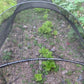 Black Grow Tunnel Net Mesh Plant Cover