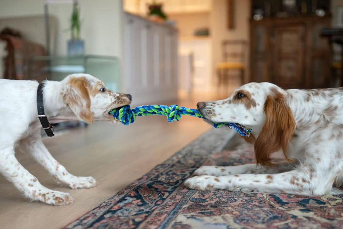 2 Pack Cotton Rope Dog Toys Durable Tug Chew Ropes for Large Breed Dogs