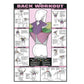 Gym Workout Muscle Poster