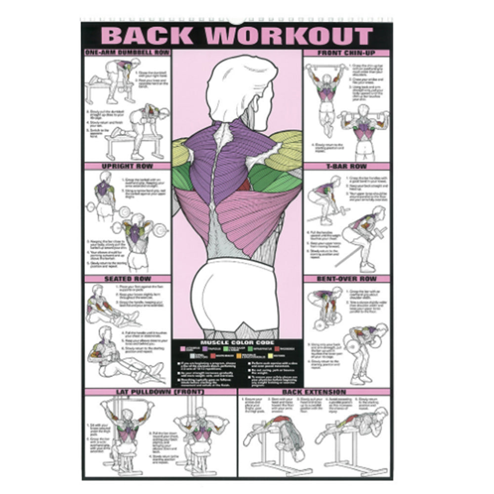 Gym Workout Muscle Poster