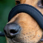 Black Dog Lead with Padded Nose Loop Anti-Pull Training Leash for Medium and Large Dogs