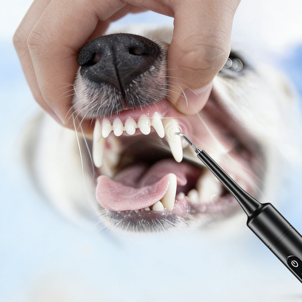 Ultrasonic Dog Tooth Cleaner Kit for Pet Teeth and Gum Care