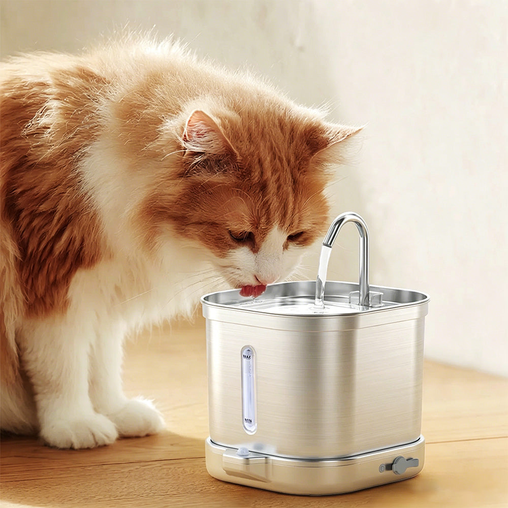 2L Stainless Steel Cat Water Fountain with 3 Modes Wireless Pet Water Dispenser for Dogs Cats