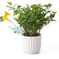 9Pcs Plant Pot Watering Funnel Color Leaf Plant Watering Devices Watering Spikes Plant Leaf Shape