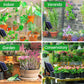 Solar Automatic Drip Irrigation System Watering Device