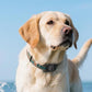 2Pcs Waterproof Dog Collar Holder for Apple AirTag Silicone Air Tags Case