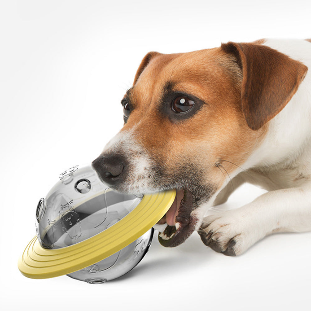 2Pcs Pet Tumbler Ball Slow Feeder Interactive Toy