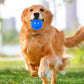 6Pcs Squeaky Dog Toy Balls Floating Dogs Pool Balls Interactive Fetch Toys for Puppy