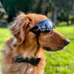 Fashion Pet Goggles