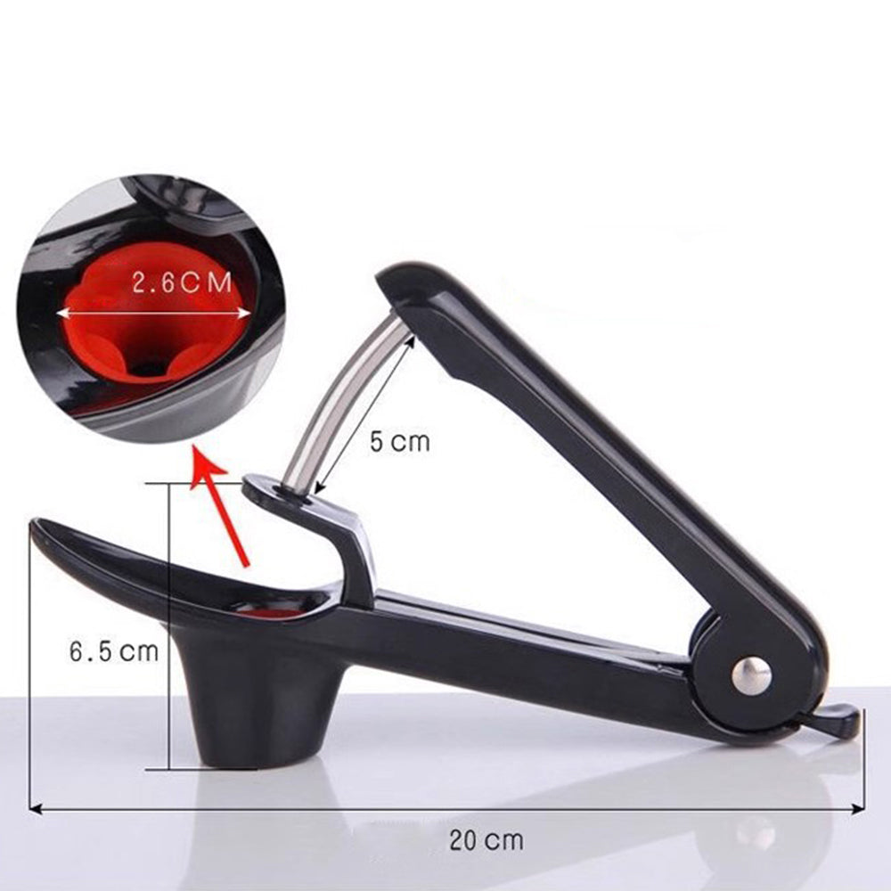 2Pcs Olive Cherry Pit Remover Kitchen Tools