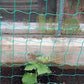 Garden Plant Climbing Net Vegetable Flower Vine Trellis Support Fence