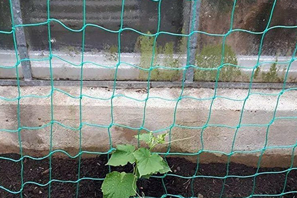 Garden Plant Climbing Net Vegetable Flower Vine Trellis Support Fence
