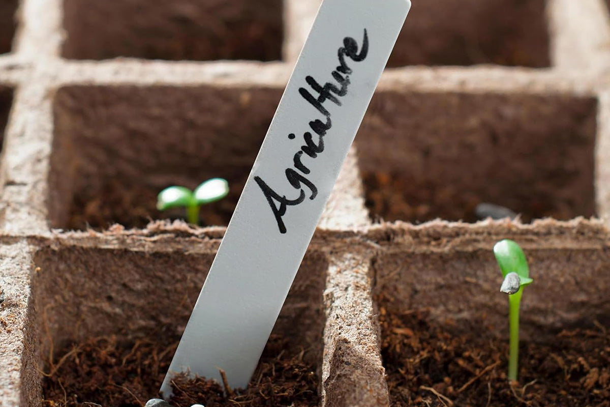 300PCS 10x2CM Plant Labels White Plastic Garden Tray Pot Plug Stick ID Marker Name Tag