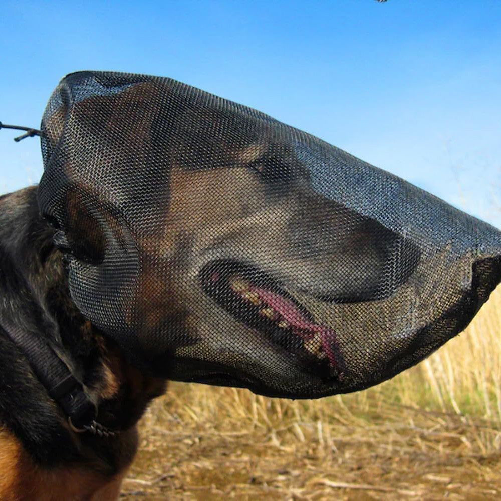 Breathable Mesh Dog Face Hood for Hiking Camping and Walking