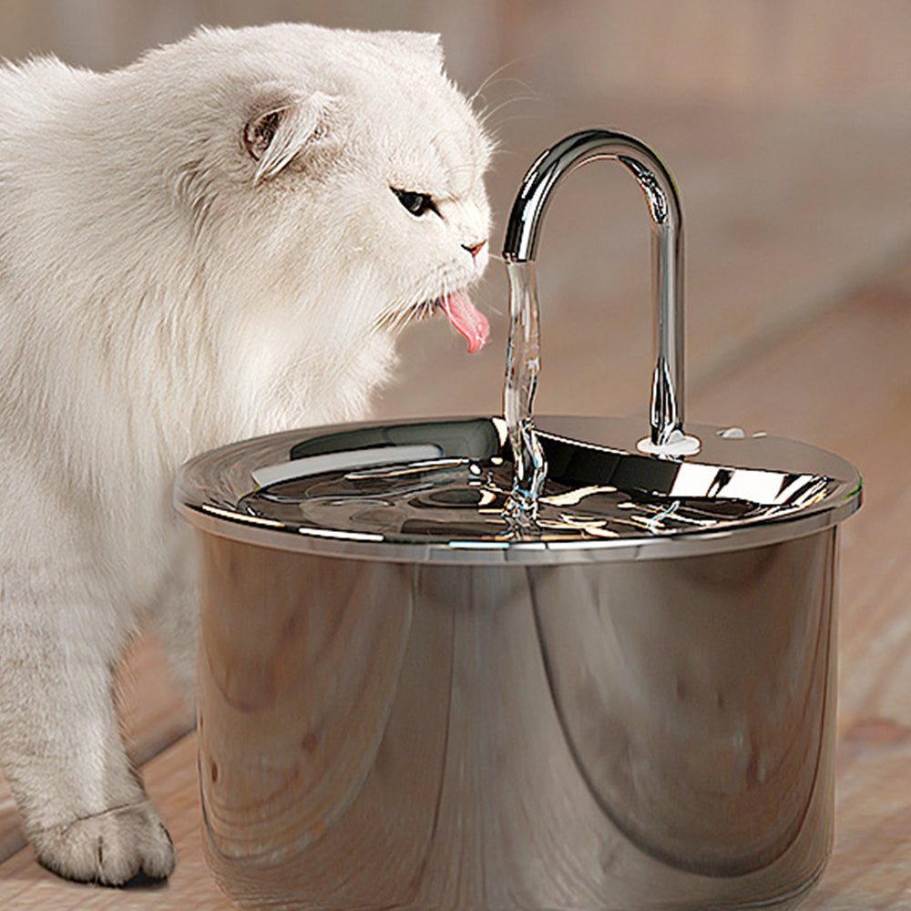 304 Stainless Steel Electric Pet Water Dispenser
