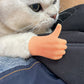 6Pcs Set Pet Puppet Finger Palm Toy