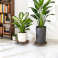 2 Pack Plant Stand Plant Caddy with 360 Degree Lockable Wheels