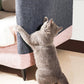 Strong Self-Adhesive Cat-Scratch Protector Furniture Guard Sticker for Sofa Wall Door-Dark Grey