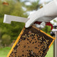2 Pack Stainless Steel J Type Bee Hive Scraper Multi Functional Beekeeping Tool for Wax Propolis