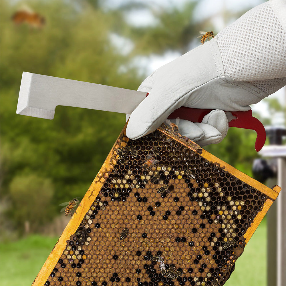 2 Pack Stainless Steel J Type Bee Hive Scraper Multi Functional Beekeeping Tool for Wax Propolis
