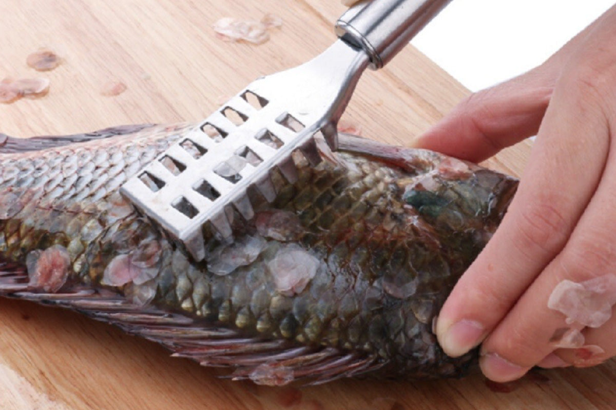 2Pcs Stainless Steel Fish Scaler Brush Scale Scraper Skin Remover Kitchen Seafood Clean Tool