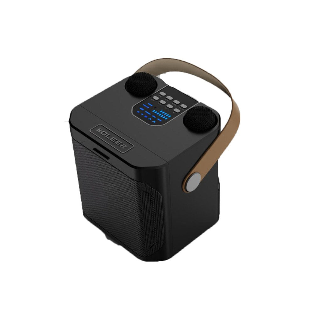 Karaoke Machine with 2 Wireless Mics Bluetooth Portable Karaoke Speaker