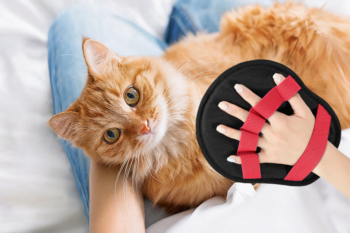 Five Finger Pet Hair Removal Glove Reusable Electrostatic Grooming Mitt for Cats and Dogs