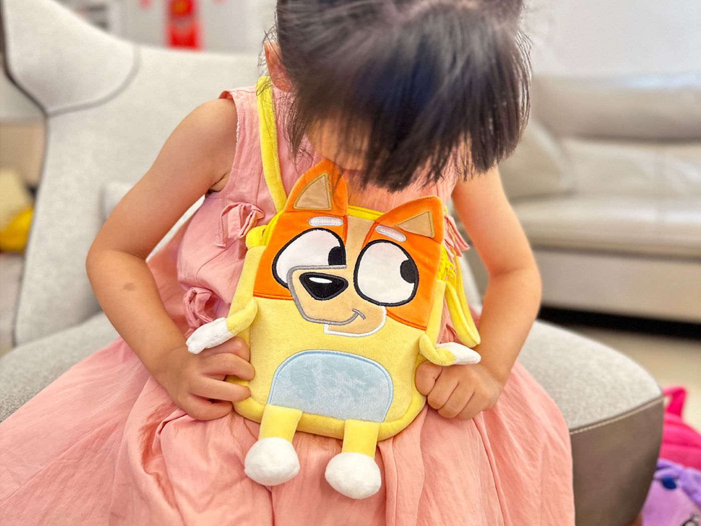 Bluey Inspired Kids Plush Crossbody Bag or Pencil Case