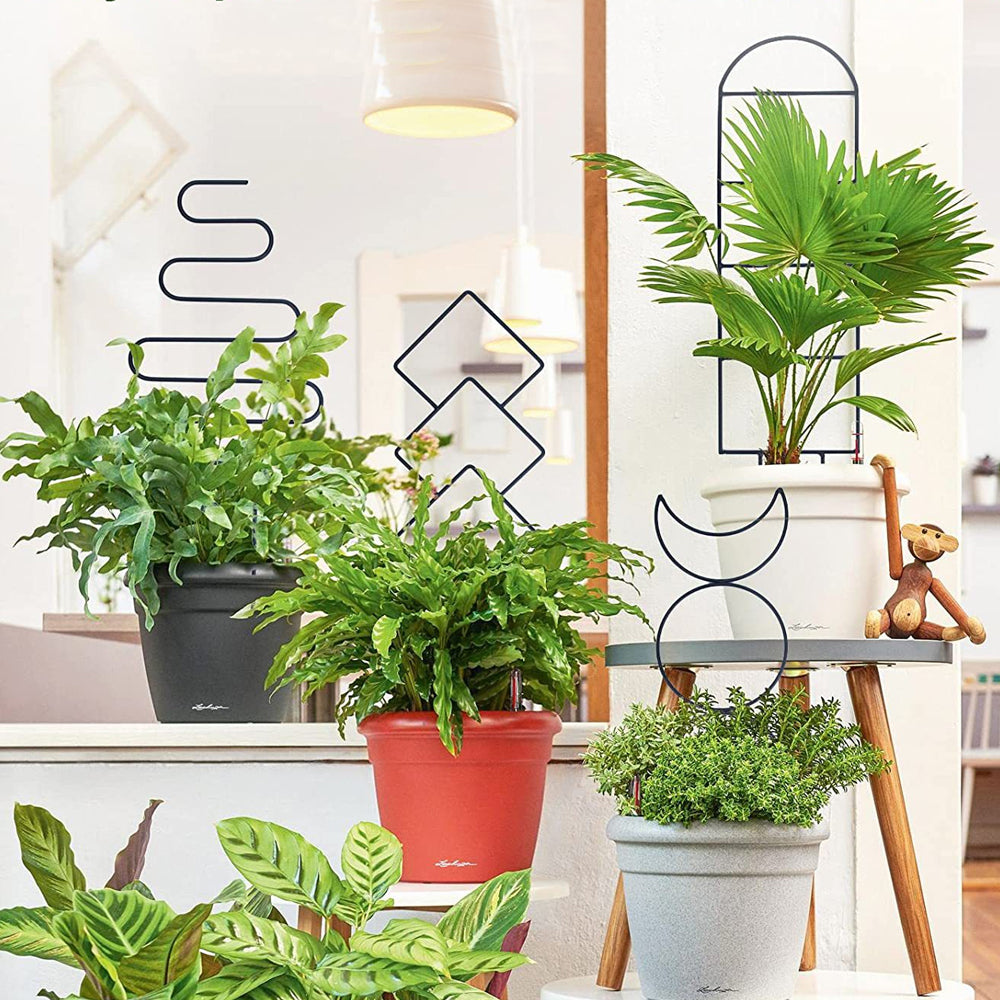 4Pcs Plant Climbing Trellis Metal Flower Plant Support Frame