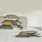 16 PCS Travel Vacuum Bags with Wireless Pump Space Saver Bags for Home Travel