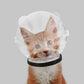 Transparent Cat Hood Astronaut Helmet Muzzle Mask for Preventing Biting and Licking