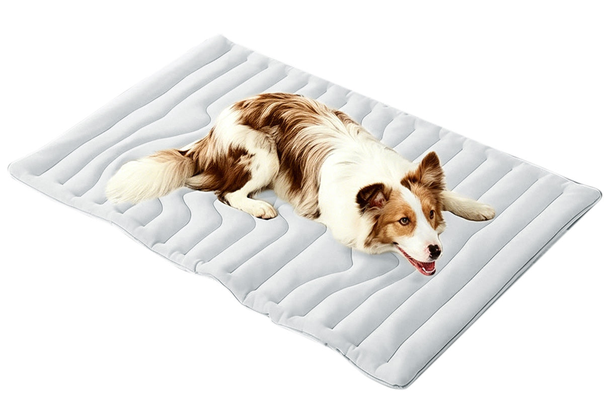 Scratch Resistant Summer Cooling Mat for Pet