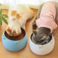 Slanted Stainless Steel Pet Feeder Bowl