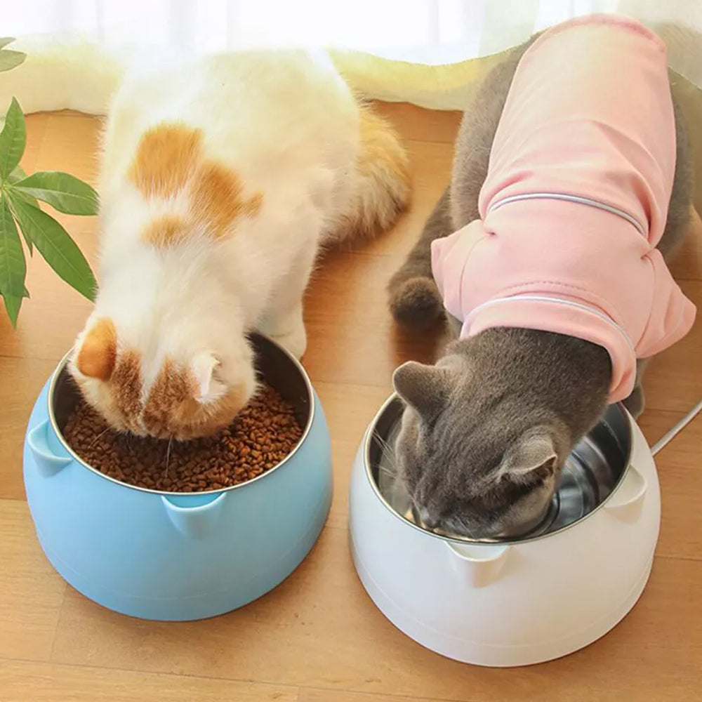 Slanted Stainless Steel Pet Feeder Bowl