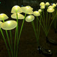 Two Outdoor Solar Mushroom Lights