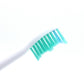 8Pcs Replacement Electric Toothbrush Heads Soft Bristle for Philips HX Series