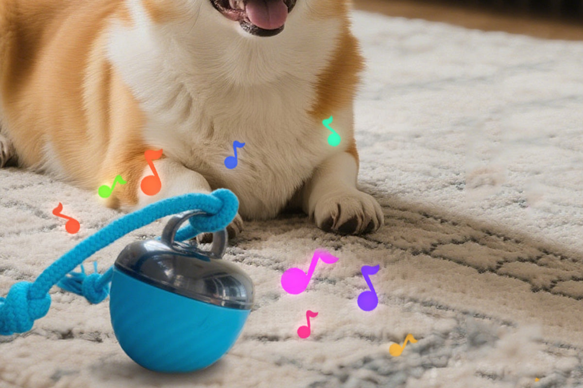 Squeaky Dog Toy Active Rolling Ball Interactive Dog Toys With Motion Activated