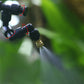 Mist Intelligent Spray Rainforest Fogger Humidifier Sprinkler Kit for Reptile