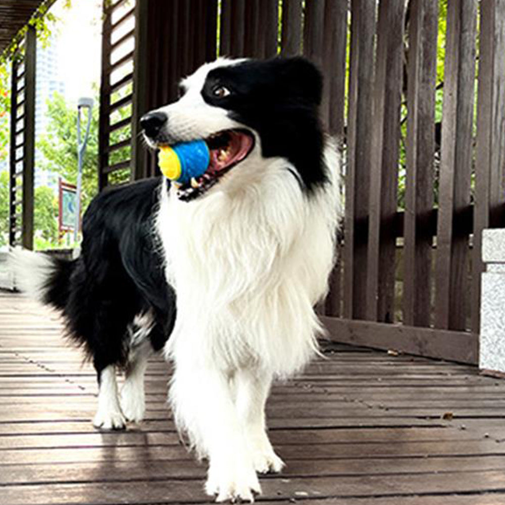 4Pcs 6.5CM Pet Interactive Playing Toy High Bouncy Vibrant Color Squeaky Rubber Balls