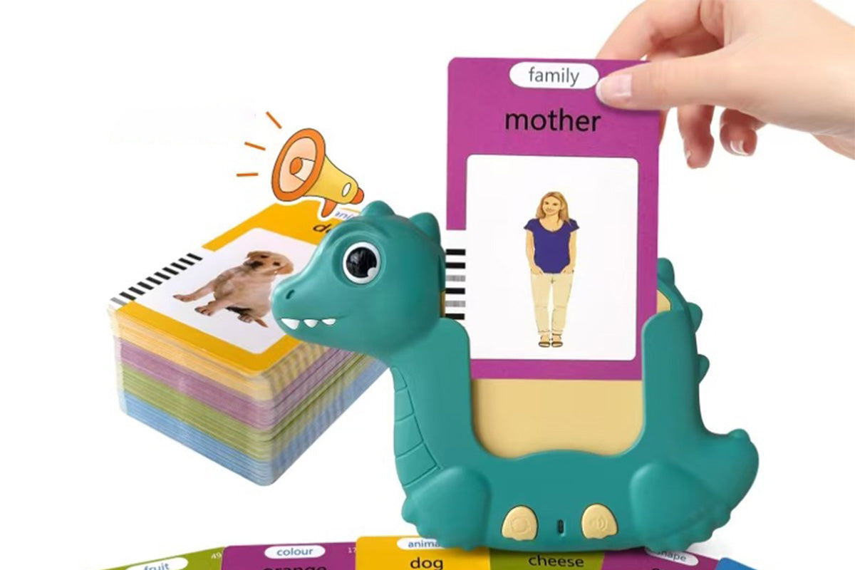 Flash Cards Learning Toy with 510 Words Montessori Language Educational Toy