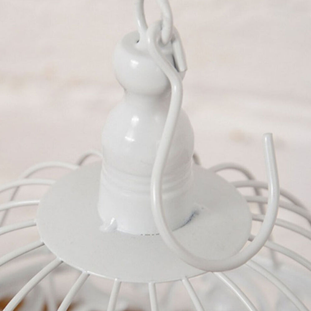 Iron Wire Birdcage Shape Succulent Plant Pot Hanging Frame