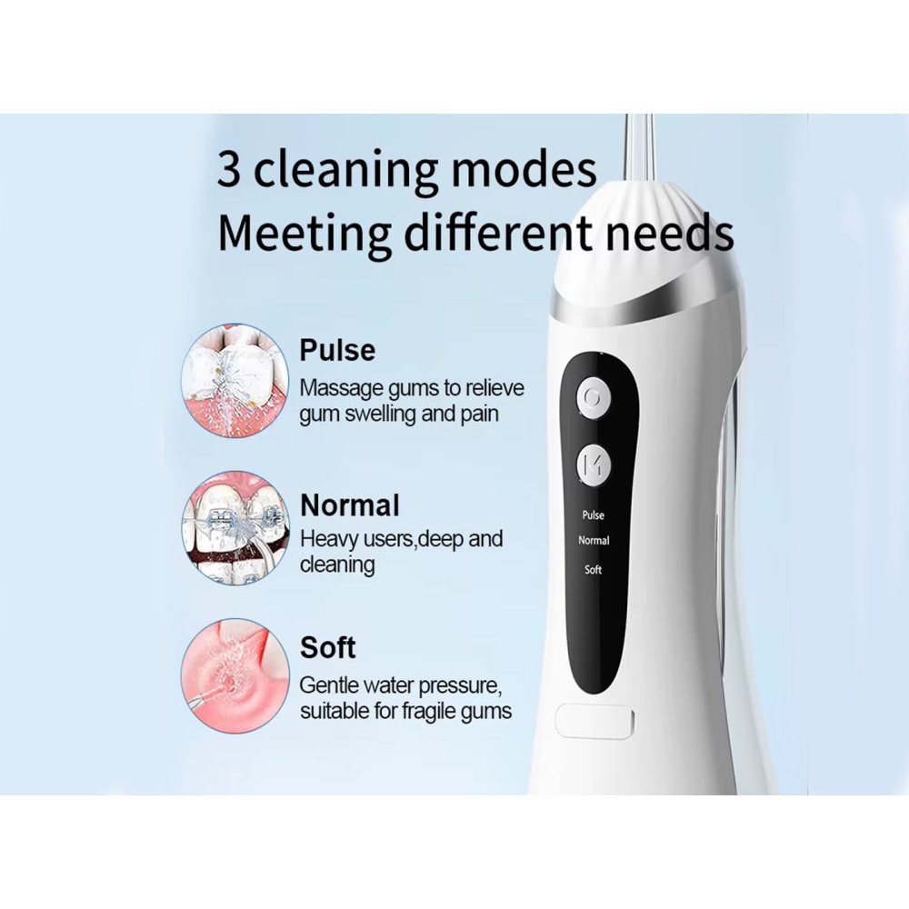 Portable Rechargeable Water Dental Flosser for Teeth Cleaning with 4 Tips