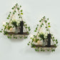 4Pcs Artificial Ivy LED Strip Wall Hanging Shelves Macrame Shelf for Bedroom