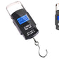 Portable LCD Digital Fishing Scale With Handle Hanging Weighing Scale Fishing Gear