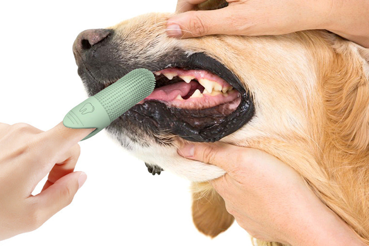 Silicone Pet Finger Toothbrush for Cats Dogs Daily Teeth Cleaning