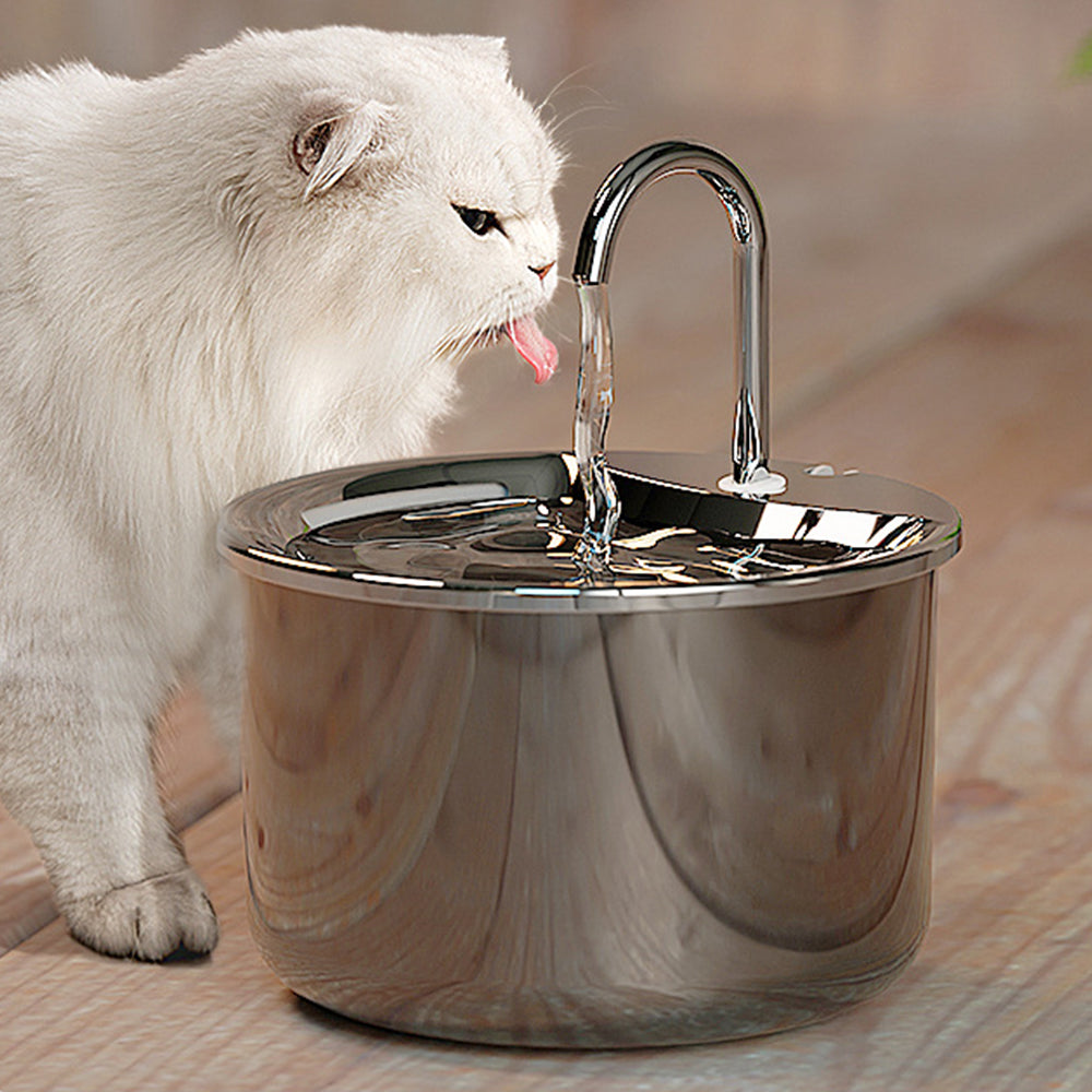 304 Stainless Steel Electric Pet Water Dispenser