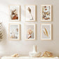 10 Pack Self Adhesive Sawtooth Picture Hangers for Smooth Frames