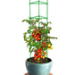 Tomato Cage Stake Arms Plant Stem Support for Garden