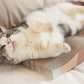 2 Pack Wave Cat Scratcher Cardboard Dual-Side Reversible for Furniture Protection