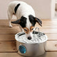 7L Stainless Steel Automatic Pet Water Fountain for Cats and Dogs